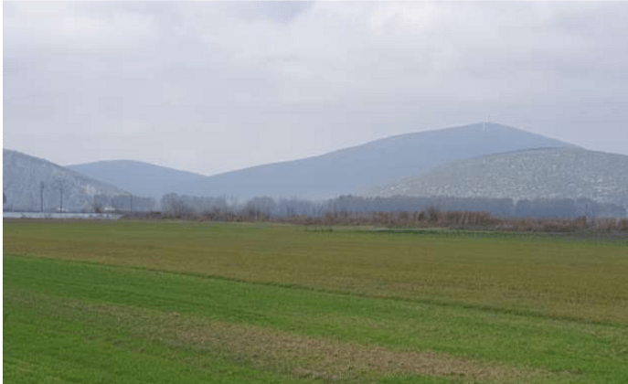 Πωλείται αγροτεμάχιο στον Ορχομενό Βοιωτίας