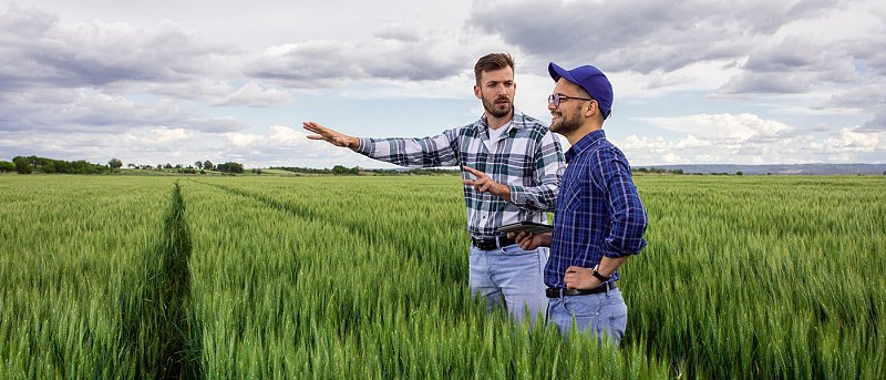 Πάνε πίσω οι αποζημιώσεις ΕΛΓΑ για το 2023, πότε πληρώνει εξόφληση στην Θεσσαλία