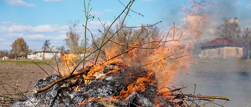 Μέτρα που πρέπει να ακολουθούν όσοι κάνουν καύση υπολειμμάτων κλαδεμάτων