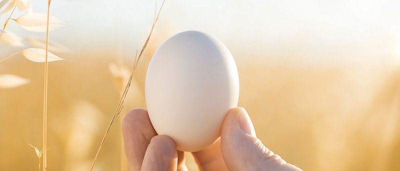 Οι στόχοι της Διεπαγγελματικής με αφορμή την Παγκόσμια Ημέρα Αυγού