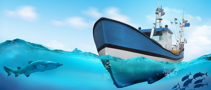 Ξεκινάνε αιτήσεις για προώθηση και εμπορία προϊόντων αλιείας και υδατοκαλλιέργειας