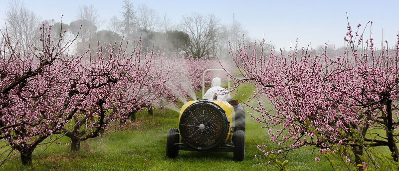 RNAi-based Solutions to Crop Protection