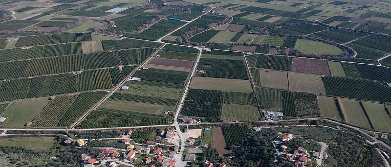 Άρση Επικάλυψης Αγροτεμαχίων στις ΕΑΕ 2025: Τι προβλέπεται για την υποβολή και τον έλεγχο των αιτημάτων