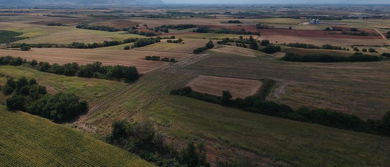 Νομοθετική ρύθμιση για εκκαθάριση ενισχύσεων από 2018 έως 2022, δεν θα λαμβάνονται υπόψιν οι δασικοί χάρτες