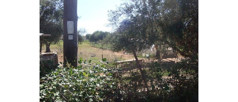 Πωλείται οικόπεδο στη Φωκίδα