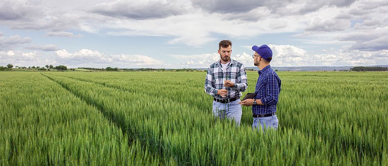 Ομαδική έξοδος από αγροτικό επάγγελμα, μέσα σε ένα χρόνο αποχώρησαν 75.900 παραγωγοί