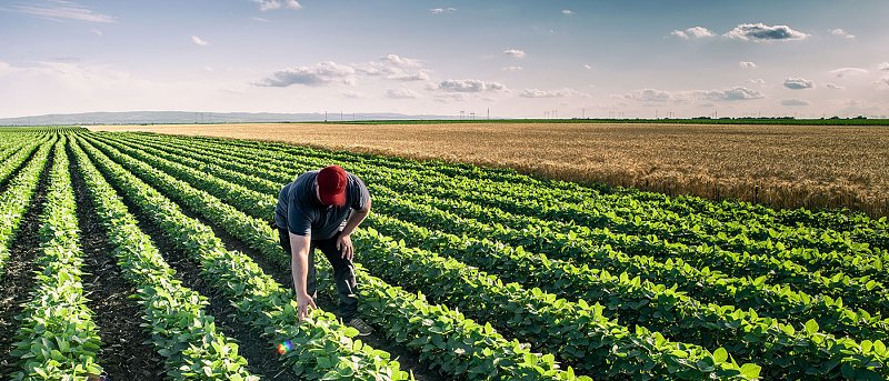 Κωστής Χατζηδάκης: Μήνας πληρωμών για τους αγρότες θα είναι ο Δεκέμβριος