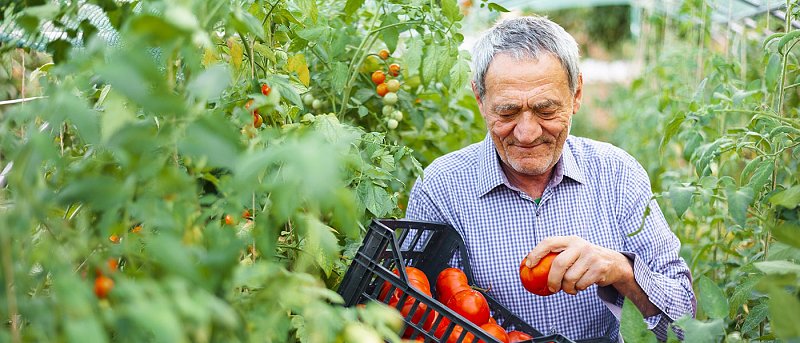 Πότε πληρώνονται οι συντάξεις Δεκεμβρίου, ποιοι συνταξιούχοι δικαιούνται το επίδομα 250 ευρώ