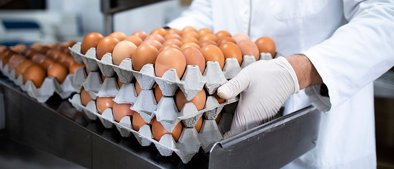 Αβγά: Μόλις 2,5% η ελληνική παραγωγή βιολογικών - Οι ελληνοποιήσεις καλύπτουν τα κενά στην εγχώρια αγορά