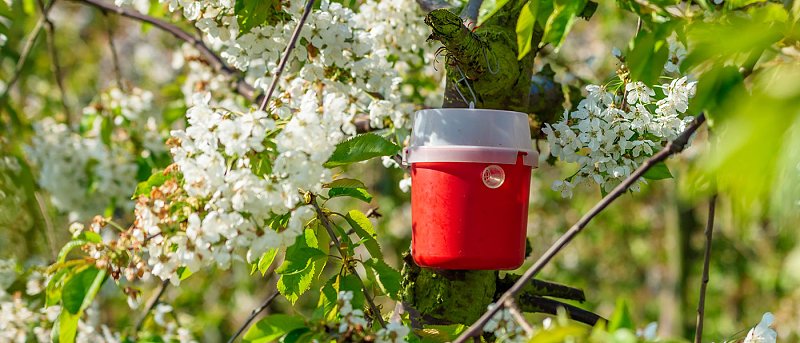 Κονδύλι 16,5 εκ. ευρώ το ΚΟΜΦΟΥΖΙΟ για το 2025, ενώ ακόμη δεν έχει εξοφληθεί το 2024