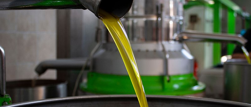 7,85 ευρώ πουλήθηκε το πρώτο αγουρέλαιο από Αγίους Αποστόλους, επίσημη πρόβλεψη για ισπανικό ελαιόλαδο εσοδείας 2025/2026