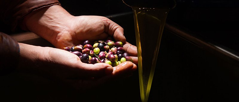 Οι προβλέψεις για την φετινή παραγωγή επιτραπέζιων ελιών και ελαιολάδου στην Τουρκία