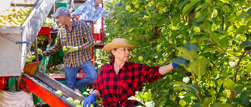Τι ισχύει για το εργόσημο των εργατών γης και τι θα πρέπει να προσέξουν οι αγρότες