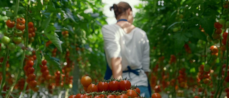 Συλλήψεις για εμπορία ανθρώπων, υπόσχονταν απασχόληση σε αγροτικές εργασίες