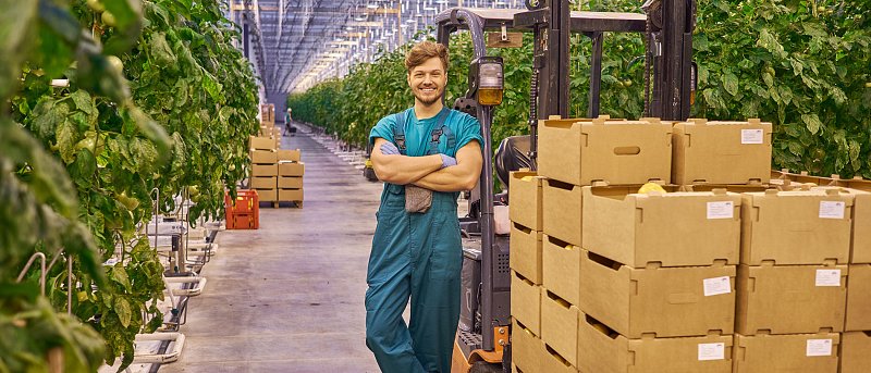 Ξεμένουν από εργάτες τα θερμοκήπια, ταυτόχρονη συγκομιδή ελιάς και κηπευτικών απογειώνει τα μεροκάματα