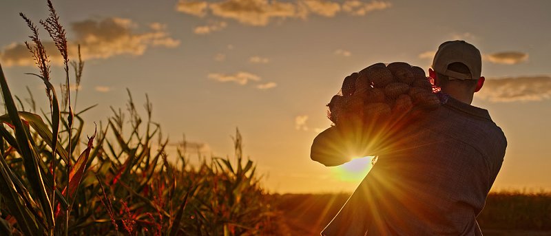 Αυξάνουν τα χρέη στον ΕΦΚΑ και χάνονται οι ρυθμίσεις οφειλών δείχνουν τα στοιχεία του ΚΕΑΟ
