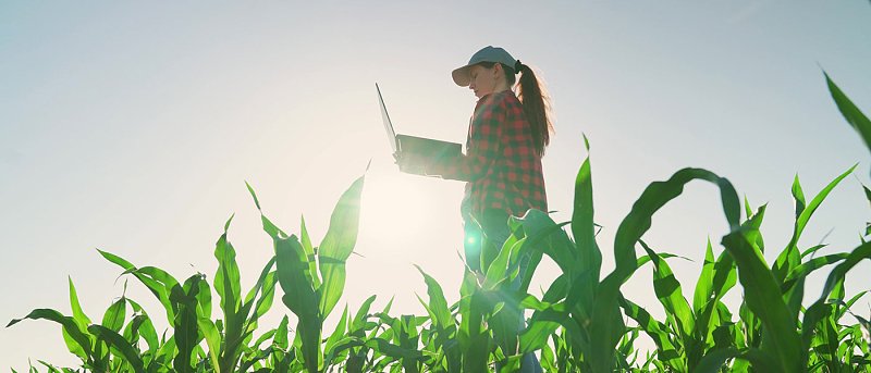 Πλήρωσαν προγράμματα του ΠΑΑ χωρίς να γίνουν ενδικοφανείς προσφυγές