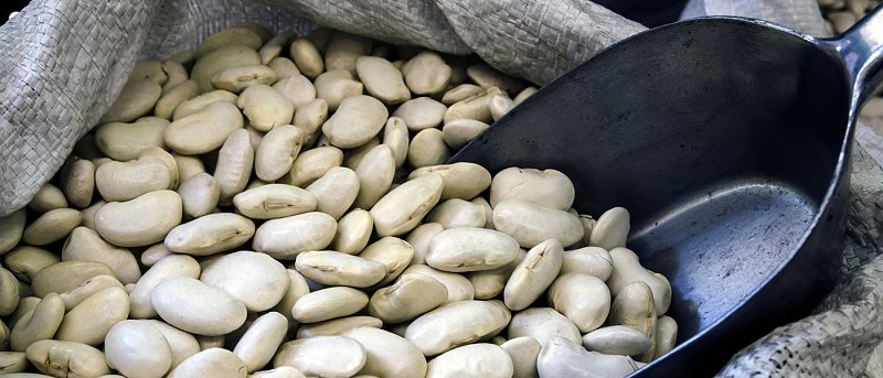 Ξεκίνησαν κοπές ξερών φασολιών, μειωμένη παραγωγή και φέτος σε Καστοριά και Φλώρινα, ενώ το κόστος στα ύψη