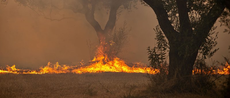 Δίνουν αποζημιώσεις για πυρκαγιές του 2023, στο 70% σε κατά επάγγελμα αγρότες και 35% σε υπόλοιπους
