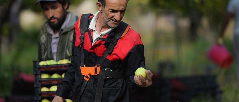 Στο ΦΕΚ οι θέσεις εργαζομένων από τρίτες χώρες για το 2026 – Τι προβλέπεται