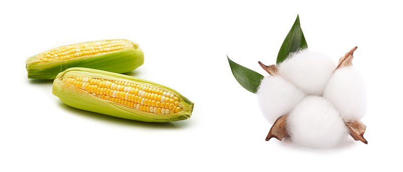 Στο ΦΕΚ ο νέος τεχνικός κανονισμός για ποικιλίες φυτών μεγάλης καλλιέργειας και κηπευτικών