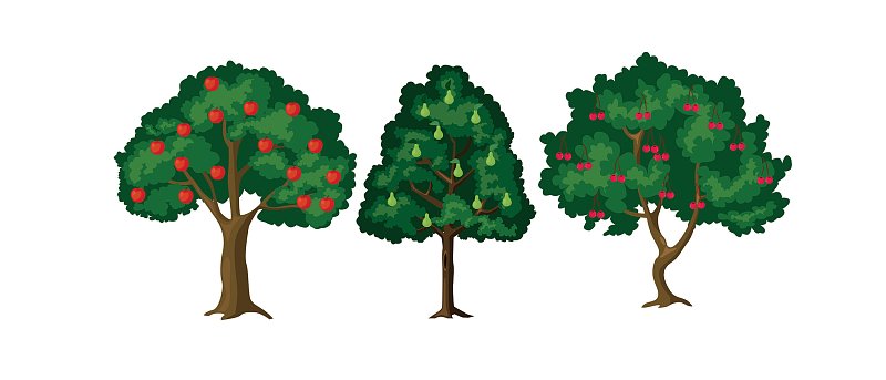 Αναζητούν 100 εκ. ευρώ για αποζημιώσεις από παγετούς του 2025 σε κεράσια, μήλα και αχλάδια