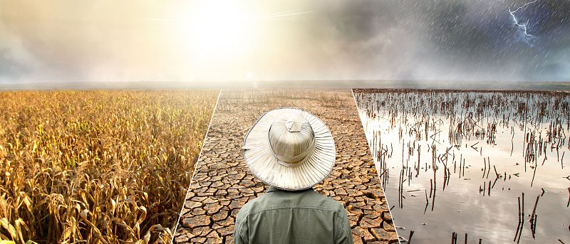 Κλιματική κρίση και φυτοπροστασία: Τα νέα δεδομένα για τις καλλιέργειες από την 9η Συνάντηση Φυτοπροστασίας