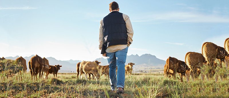 Πρόσκληση Σχοινά για συνάντηση με κτηνοτρόφους και τυροκόμους της Λέσβου