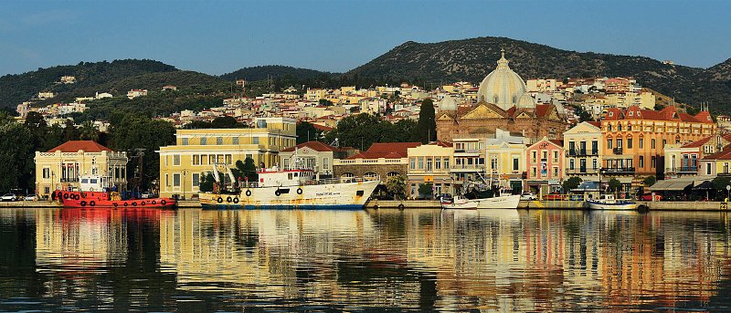 Αφθώδης πυρετός στη Λέσβο: Τι γίνονταν, τι γίνεται και τι πρέπει να γίνει για να μην καταρρεύσει η κτηνοτροφία στο νησί