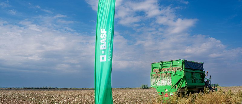 1ο Φεστιβάλ Βαμβακιού από τη BASF: Μια γιορτή για τον Έλληνα παραγωγό