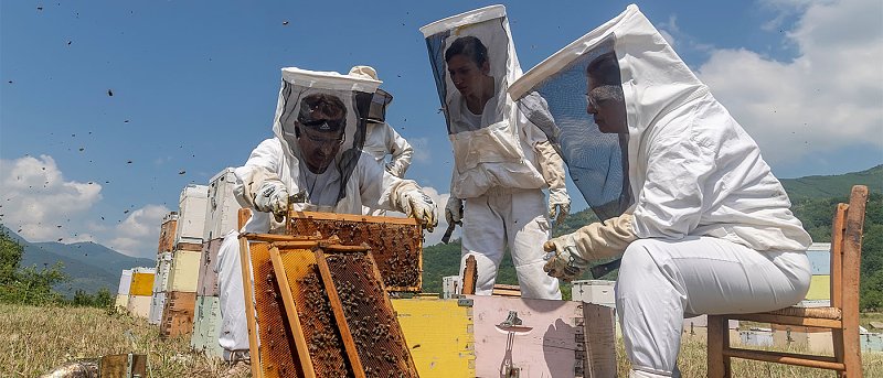 Τι χρήματα δίνει στους μελισσοκόμους η ΚΑΠ και ποιοι ευθύνονται για τα προβλήματα στα βιολογικά