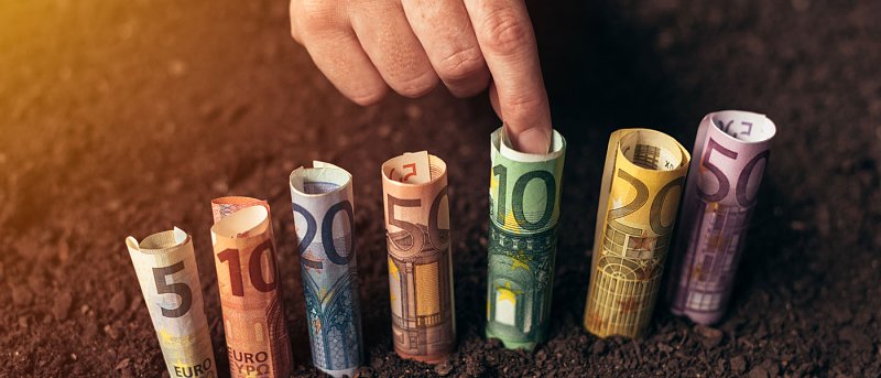 Πληρώθηκαν 202 εκατ. ευρώ σε 294.000 αγροτεμάχια από την ΑΑΔΕ για βασικές και συνδεδεμένες ενισχύσεις