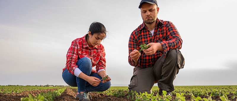 Οι νέες ασφαλιστικές εισφορές ΕΦΚΑ για αγρότες που θα ισχύσουν από το 2026