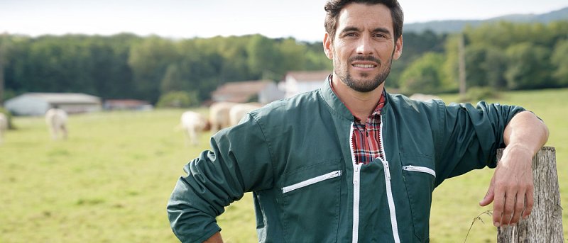 Έως 9 Νοεμβρίου οι δηλώσεις μητρώου σπάνιων φυλών ίππων για την προκαταβολή 2025