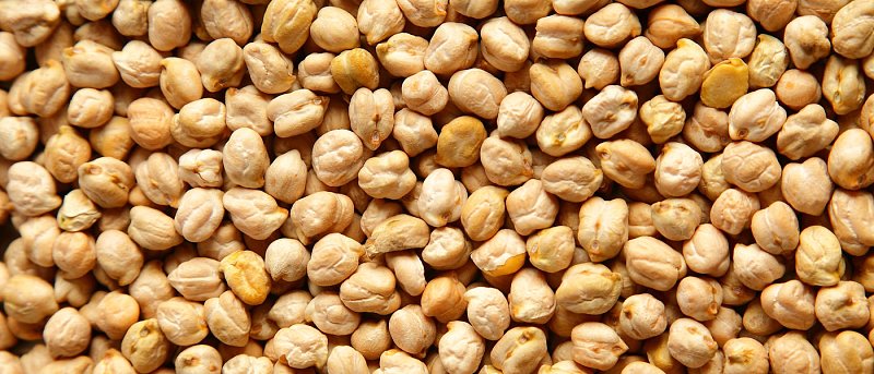 Ψυχανθή στα σιτηρέσια: τι ισχύει για τον παραγωγό