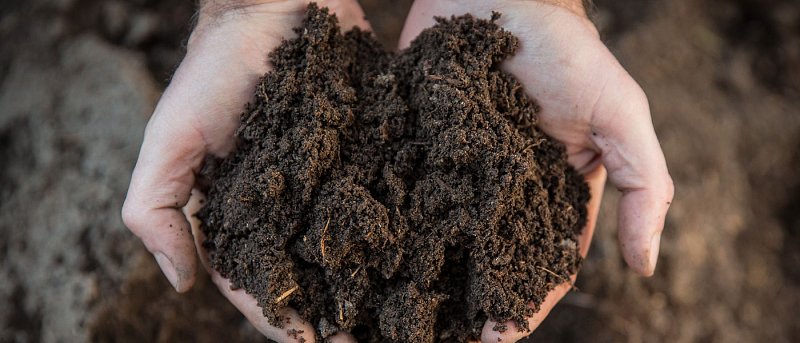 Όταν το έδαφος υποβαθμίζεται, η γεωργία απειλείται