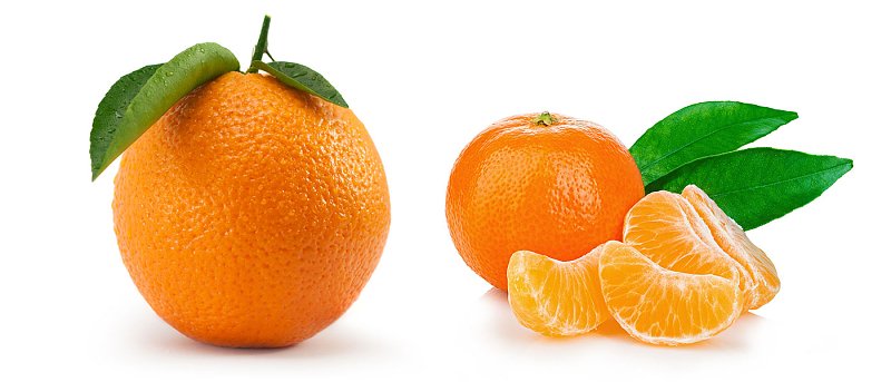 Προβλέψεις φετινής ισπανικής παραγωγής πορτοκαλιών και μανταρινιών, στήριξη ζητούν οι αγρότες