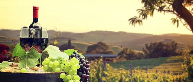 Το κρασί σε μια Ευρώπη που αλλάζει: πτώση στην κατανάλωση, μετατόπιση προτιμήσεων και αβεβαιότητα στο εμπόριο