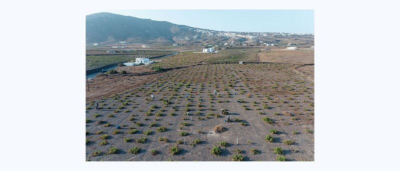 Η ΚΥΡ-ΓΙΑΝΝΗ εξαγοράζει το Κτήμα Σιγάλα