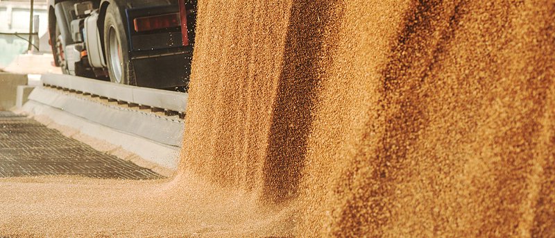 Διαγωνισμοί σιταριού: Τιμές που αγόρασε 200 χιλιάδες τόνους η Τυνησία και 907 χιλιάδες τόνους η Σαουδική Αραβία