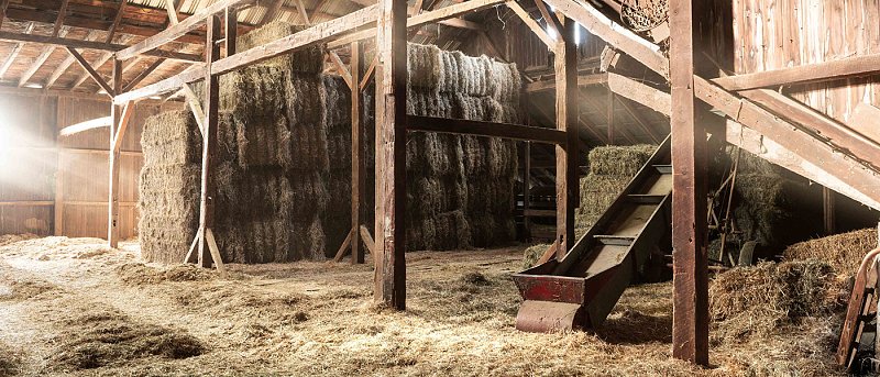 Κτηνοτρόφος έβαλε τέλος στη ζωή του επειδή του θανάτωσαν τα πρόβατα λόγω ευλογιάς