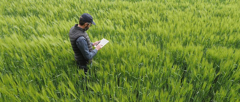 ΑΑΔΕ: Μετατίθεται η έναρξη της Β φάσης για τα ψηφιακά παραστατικά διακίνησης αποθεμάτων