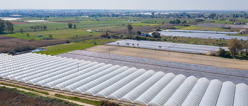 Ταχύρρυθμο Σεμινάριο για Τεχνικές θερμοκηπιακών καλλιεργειών από ΕΛΓΟ - ΔΗΜΗΤΡΑ