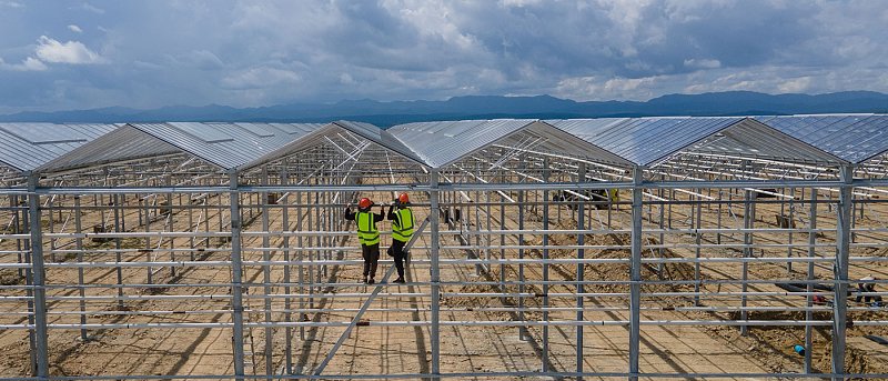 Παράταση καταληκτικής ημερομηνίας υποβολής αιτήσεων για επενδύσεις στα θερμοκήπια