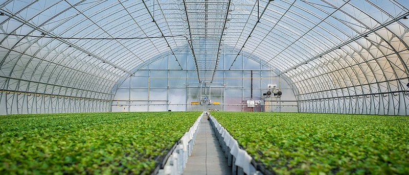 Αίτημα παράτασης αιτήσεων για Παρέμβαση Π3-73-2.9 επενδύσεις σε θερμοκήπια και στέγαστρα φυτικής παραγωγής