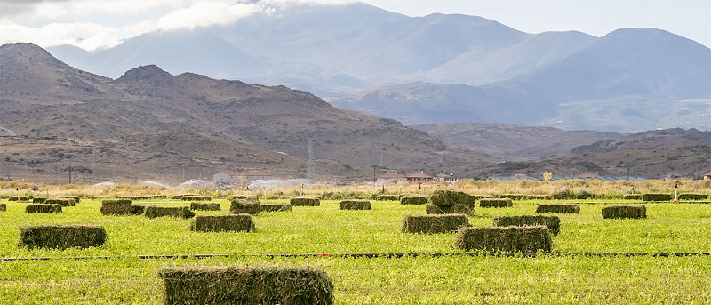 Πότε θα χορηγηθούν de minimis μηδικής, πότε ολοκληρώνεται αξιολόγηση Νέων Αγροτών και θα γίνουν πληρωμές