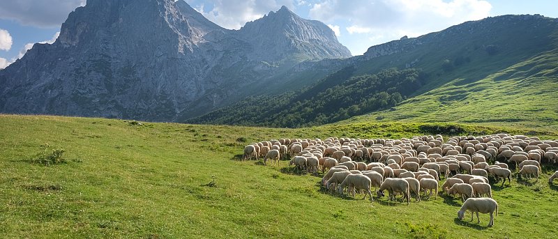 Ιδρύεται Ειδική Γραμματεία για αναζωογόνηση ορεινών περιοχών, ποια τμήματα περιλαμβάνει