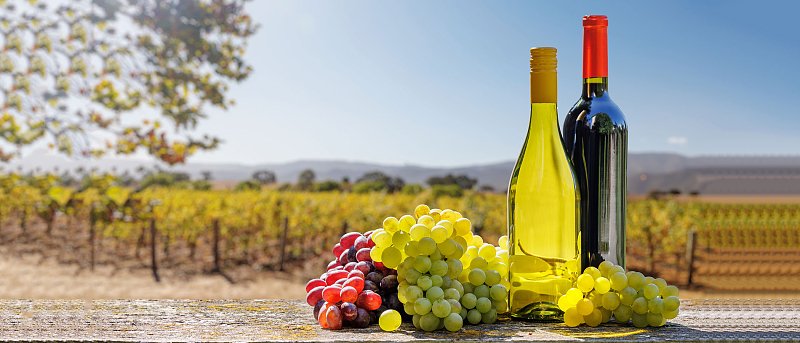 Στην ΚΑΠ 2023-2027 μεταφέρονται οι επενδύσεις μεταποίησης αγροτικών προϊόντων συνολικού ύψους 78,9 εκατ. ευρώ