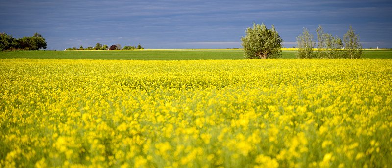 Δίνουν παράταση για φωτογραφίες γιατί δεν λειτουργεί η εφαρμογή, πότε θα γίνουν πληρωμές, ποιοι χάνουν ΕΦΚ πετρελαίου