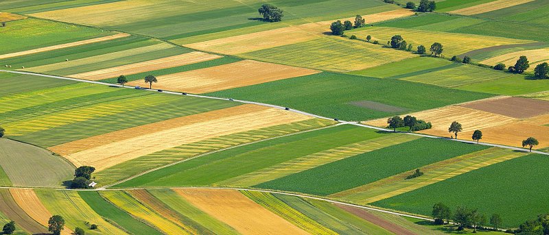 697.000 αγροτεμάχια κινδυνεύουν να χάσουν τις ενισχύσεις αν δεν γίνουν διορθώσεις στον ΑΤΑΚ